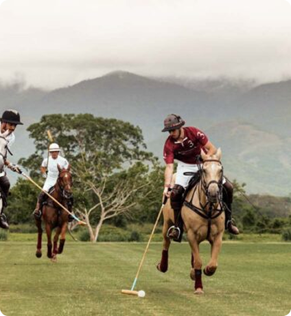 Mandarina Club De Polo Y Centro Ecuestre