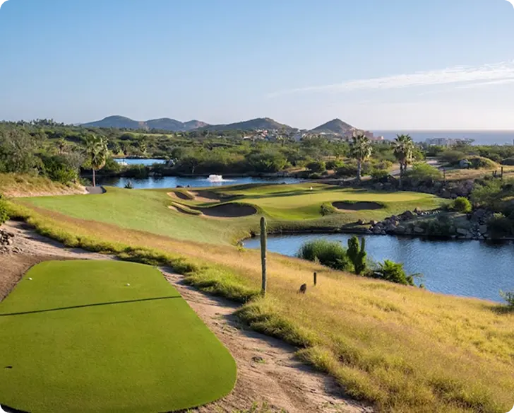 Cabo del Sol Course - featured image